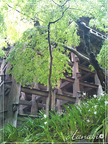 100422清水の舞台下