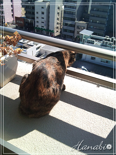 20110223あーたん03.jpg