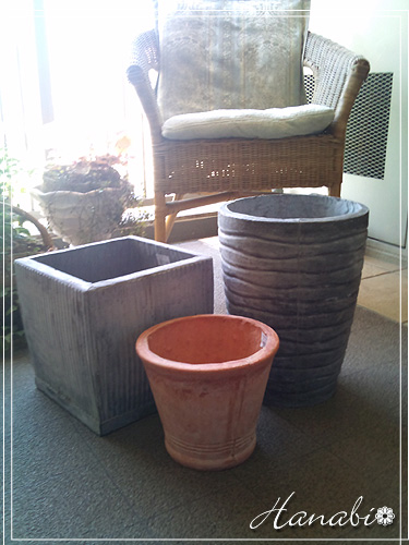 20110413植木鉢.jpg