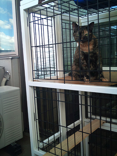 20100805あーたんケージから見る