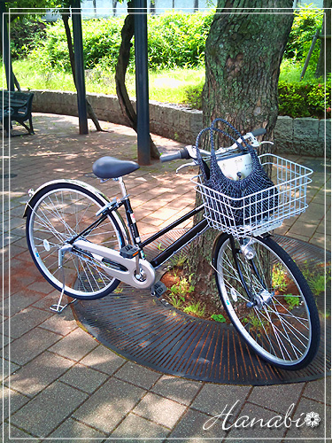 20110603自転車.jpg