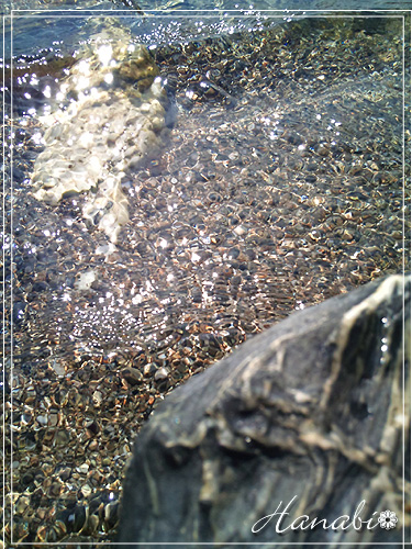 20100807きれいな海水