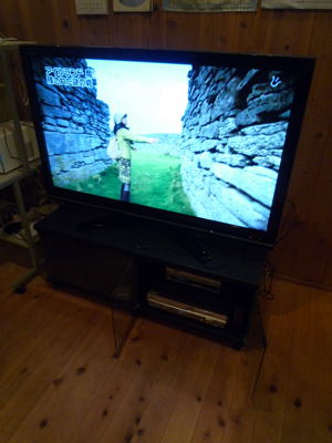 TV101120c.JPG