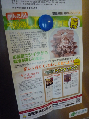 しいたけ100129b.JPG