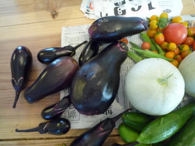 野菜100903b.JPG