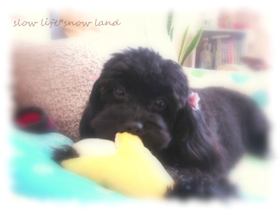 koro「うふん*」