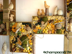 ドライフラワーの舎2