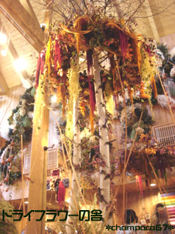 ドライフラワーの舎3