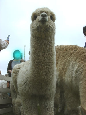 こっち向いて～！！