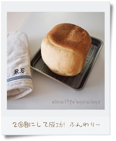 GOPAN2回目でふんわり成功！