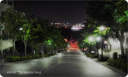 函館　夜の八幡坂