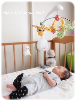 サッシーのメリーに首ったけなのだ。