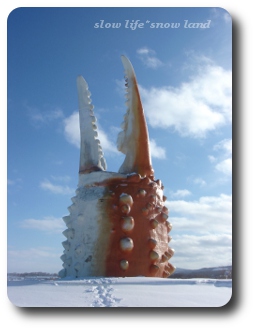 雪原にカニの爪!!