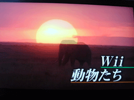 wiiの間　テレビ番組
