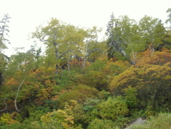 5～6号目の紅葉っぷり