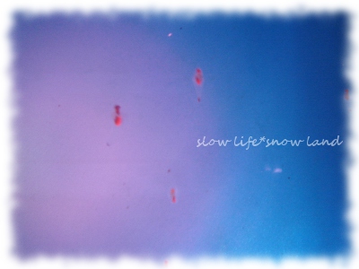 クリオネ～海の妖精1