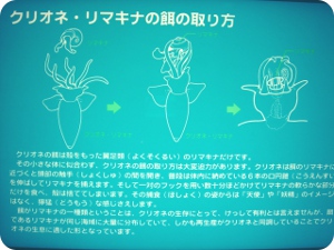 クリオネのお食事方法