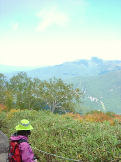 7合目から徒歩だ…