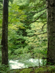 恐る恐る崖下を覗く