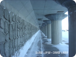 流氷タワーまで徒歩500M