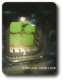 海底窓をのぞく