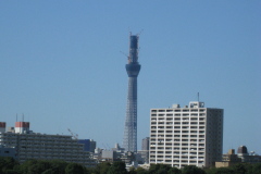 スカイツリー2010_10_11