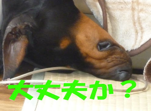 大丈夫か