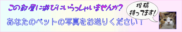 toukou.gif