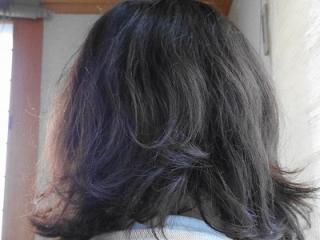 パドクック 019.jpg