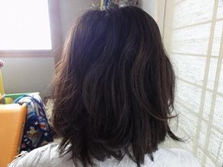 パドクック 023.jpg