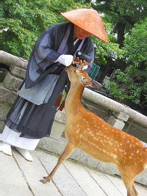 鹿さん