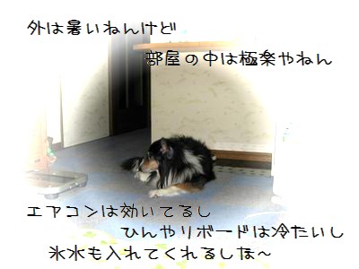 ラッ君の独り言。