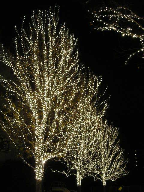 DSCN0944.JPG