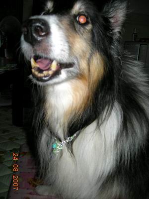 DSCN0158.JPG