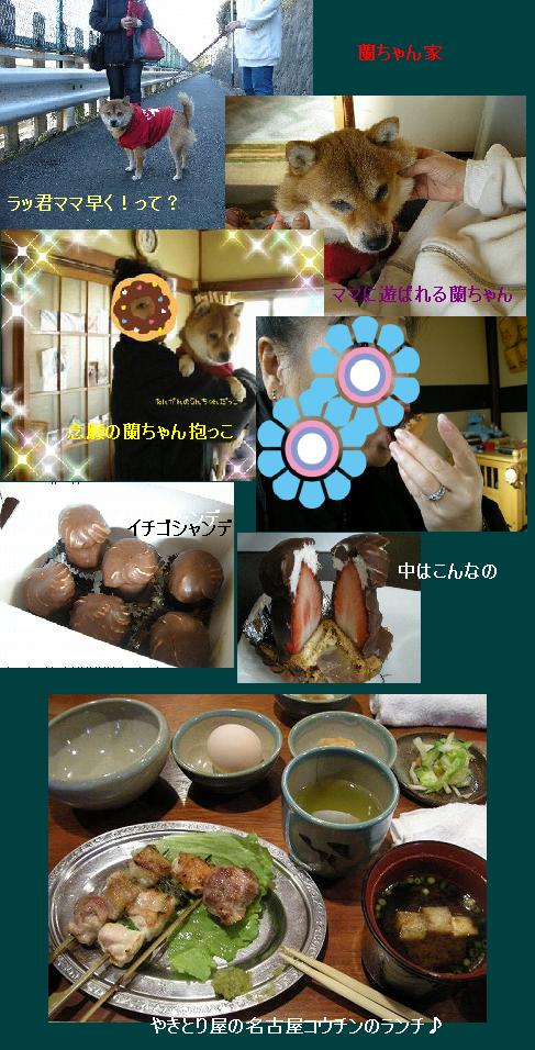 蘭ちゃんち