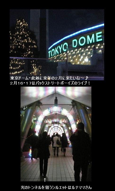 東京ドーム