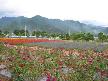 ちひろ美術館　裏庭