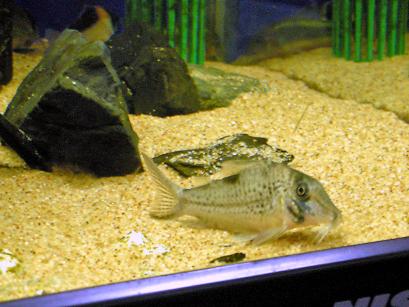 DSCN0413_edited.JPG