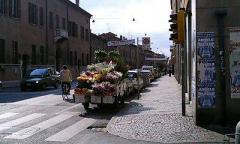 イタリア　花売り