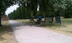 イタリア　木陰