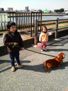 兄妹と犬