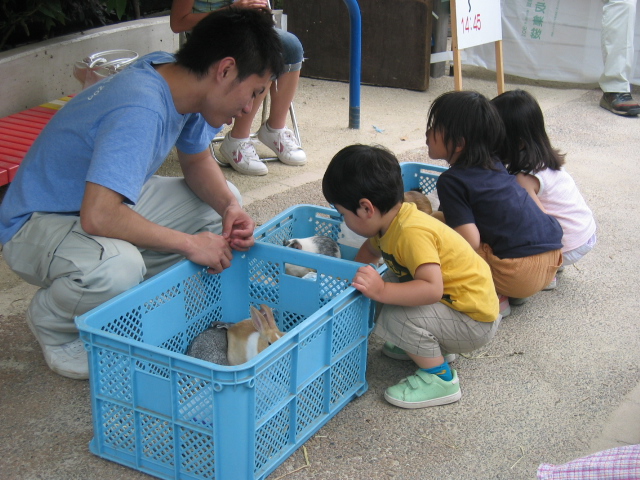 動物と触れ合う