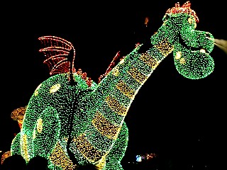dragon