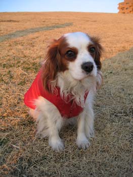20060211 5.jpg