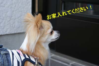 20060505　5.jpg