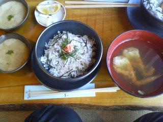 しらす麦とろ丼