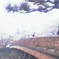 20060402_1356_001.jpg