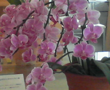 200606171547000.jpg