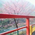 20060402_1652_000.jpg