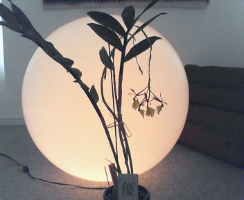 200606171603000.jpg